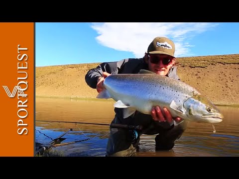 Monster Sea Trout Fly Fishing at Las Buitreras, Argentina 🐟
