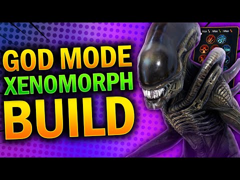 ¡CONSTRUYE UN XENOMORFO ASÍ! - Los mejores artefactos y maestrías para un daño tremendo - Raid Sh...