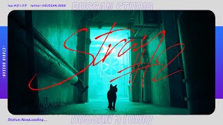 【#Stray】ネコがネコをめでる配信#2【#ぶっスタ】