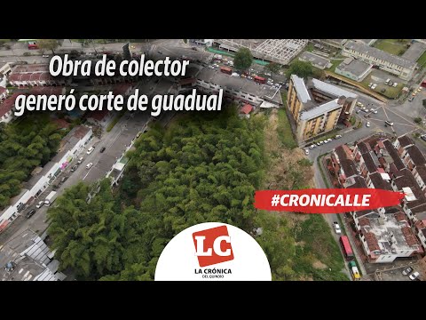 #Cronicalle | Obra de colector generó corte de guadual