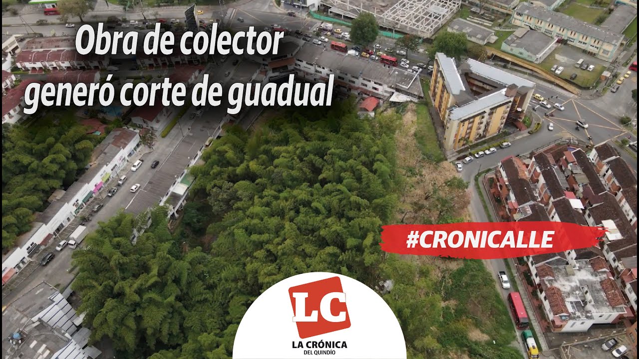 #Cronicalle | Obra de colector generó corte de guadual