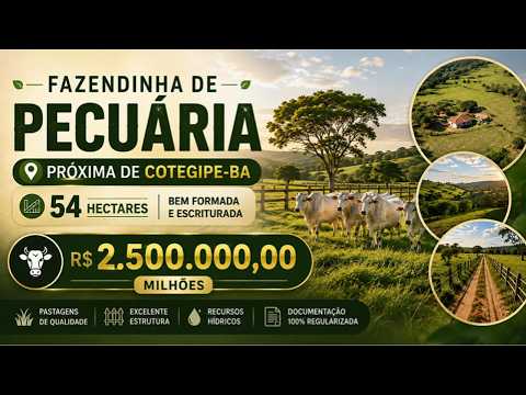 🌱 Uma Propriedade Feita para Produzir e Valorizar #imóvelrural #pecuaria #agronegocio #oestedabahia