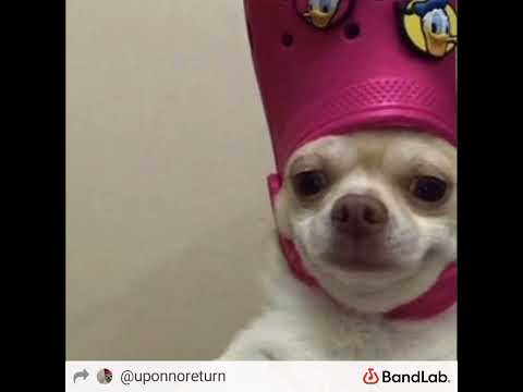 Quarto De Hotel 20 minutes (best part only)