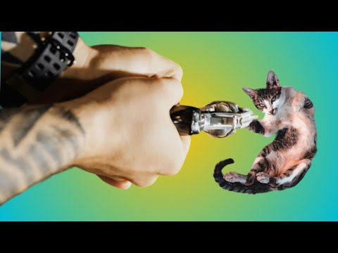 New funny videos 2024  🤣 cutest cats  😻 part 3 | nkv animals