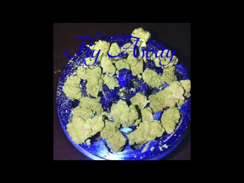 ShortyB- Fly Away ( Official Audio )