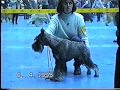 Киев республиканская ЦАЦИБ 8 9 4 1995 года