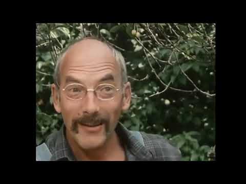 Kondor - Wird Hier Gebaut? (feat. Peter Lustig)