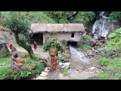 This is Himalayan Most Peaceful Nepali Village Lifestyle | Organic Food Cooking in Countryside |