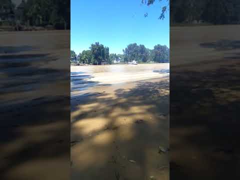 Huir mini acustico en Tigre (Sofia Macchi)