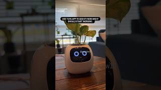 Reset Your Ivy Smart Planter | Link In Bio 🍃🍃🍃 #ivy