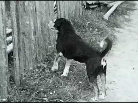 Fotografia fotogalérie Výlet do Hruštína