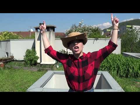 Simplement Dan - Besoin de chanter