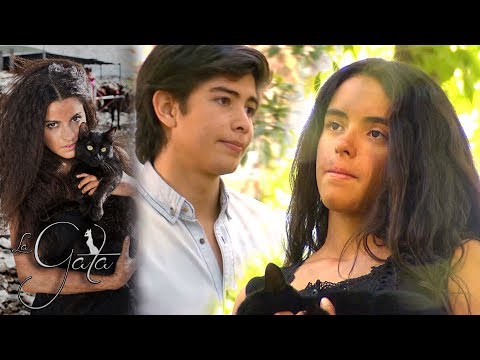 The Cat - Chapter 1: Esmeralda Meets Pablo! | Tlnovelas