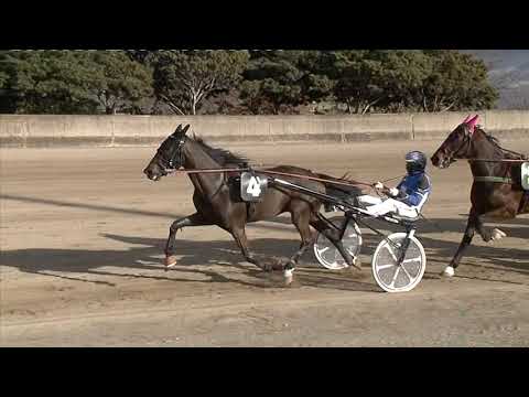 Ippodromo dei Sauri - 4° corsa del 1.2.2022