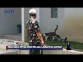 Viral Di Medsos Sejumlah Kucing Liar Di Perumahan Diracun SeputariNewsSiang 26 09