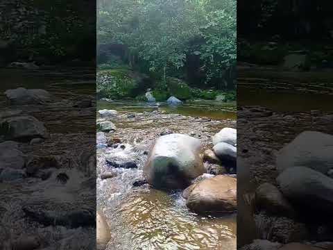 Laguna de Yani #tena #napo #ecuador #travel #waterfall