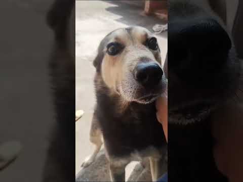 Vídeo de Pretinho 