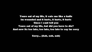 Darin - You&#39;re Out Of My Life (Lyrics Melodifestivalen 2010 ESC)