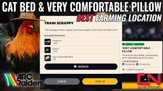 Best Arc Raiders Cat Bed & Very Comfortable Pillow Farming Location