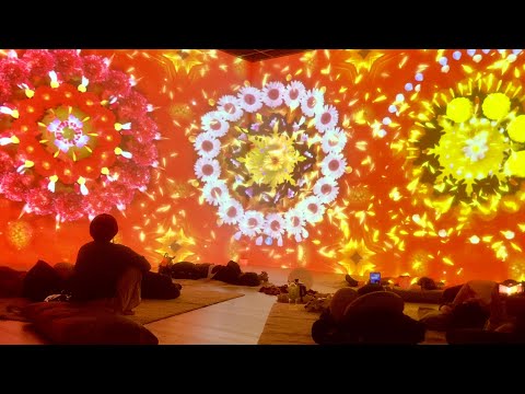 ShuMR Projection Mapping Digest Movie (long ver.)