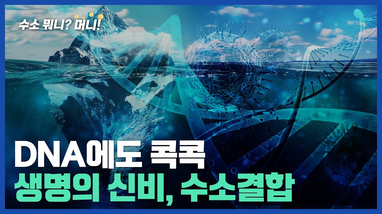 [수소뭐니?머니!]얼음은 왜 물에 뜰까? 생명의 신비, 수소결합