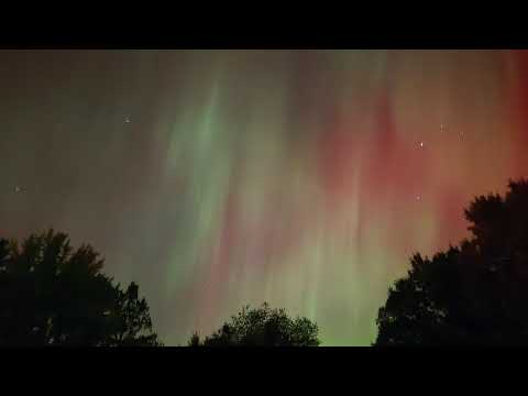 Turners imaginary works. Survivor Duo: Her First 100 Days on Ragnarok (ASA)