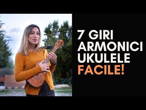 UKULELE FOR BEGINNERS: 7 HARMONIC PROGRESSIONS YOU NEED TO KNOW!