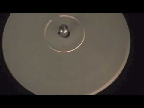 The Parkwalker - Lazy Me