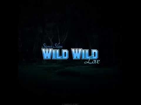 Stereo Slam - Wild Wild Love (RainDropz! Remix Edit)