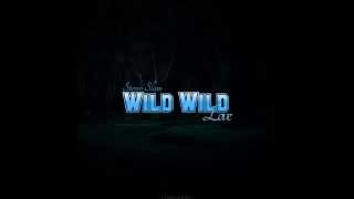 Stereo Slam - Wild Wild Love (RainDropz! Remix Edit)