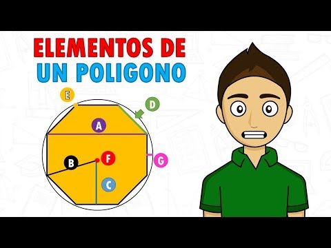 ELEMENTS OF A REGULAR POLYGON Super easy - For beginners