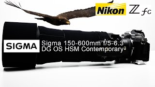 Nikon ZFC + Sigma 150 600 Fringer EF-NZ Canon EF | Wildlife Review
