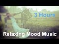 Mood Music & Instrumental Music (Mood Music for ...