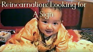 Buddhist Spiritual Reincarnation Documentary | Looking for A Sign