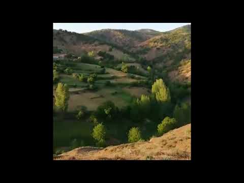 SONGÜL GÜNAY  Gul Sorbunê