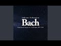 Bach - Concerto - II. Adagio in D Major