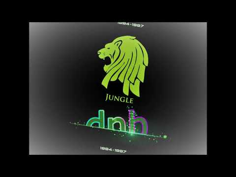 1994 - 1997 Old Skool Jungle DnB Mix (Mickey B)