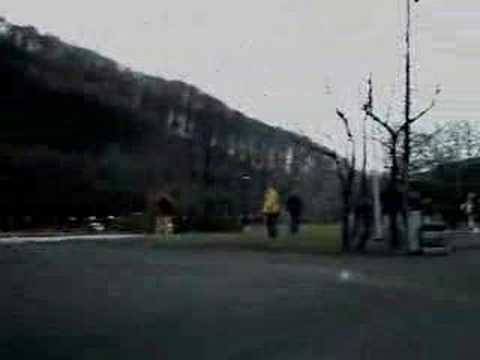 AUTOSLALOM BABA 23.2.2008