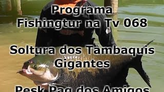 Programa Fishingtur na TV 068 - Soltura de Tambaquis
