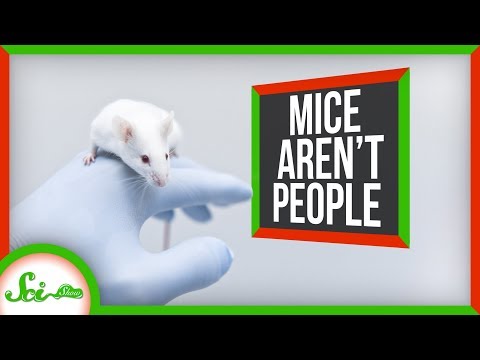 研究が「マウスの中」にあったと言わざるを得ない6つの理由 (6 Reasons We Have to Say a Study Was "In Mice")