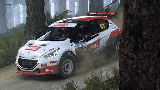 【Dirt Rally2.0】ぷじぉ