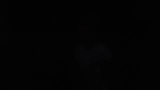 Day 12 -- FIREFLIES -- 30 Day Vlog (ALL under 2 minutes)