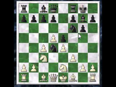 Shawn Tavares vs Yang-Fang Zhou