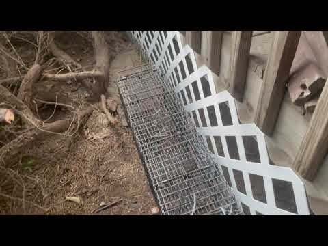 Skunk Causing a Stink for Homeowner in Belmar, NJ