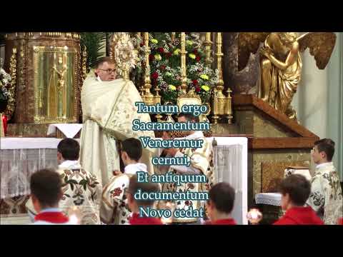 J. HAYDN - Tantum Ergo Sacramentum (Kaiserhymne / Deutschlandlied)