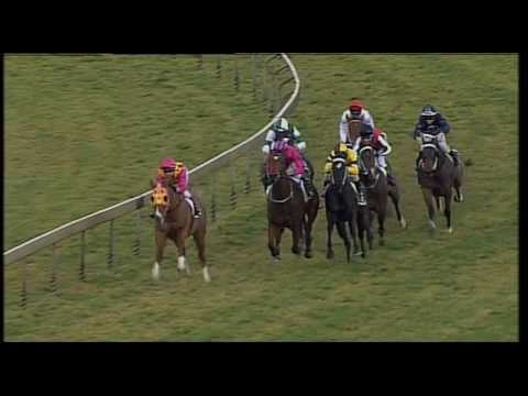 Duporth - San Domenico Stakes