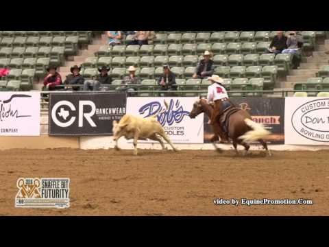 Diamondz And Gold ridden by Patricia E. Ralls  - 2016 NRCHA Snaffle Bit Futurity (Cow - NP FINALS)