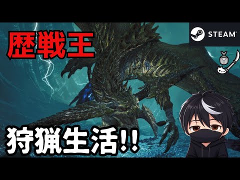 歴戦王レ・ダウをのんびり楽しむ操虫棍使いおじさん※ネタバレ禁止【 ＃モンハンワイルズ】