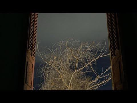 @mateusfazenorock7090