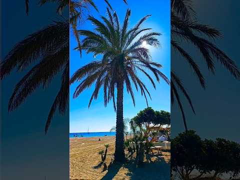 Spiaggia Bella |Spiaggia Sanvitolocapo #vilanobeach #sanvitobeach #beach